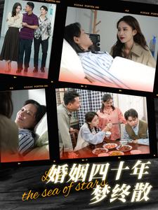《婚姻四十年梦终散（31集）崔佳宾（夸克网盘）》短剧封面