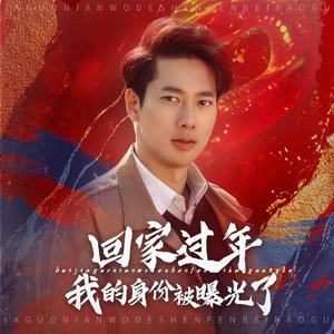 《回家过年我的身份被曝光了(60集)张子安(夸克网盘)》短剧封面