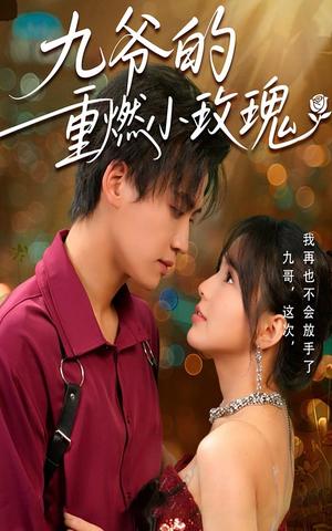 《九爷的重燃小玫瑰（67集）罗琼&张洪鸣（夸克网盘）》短剧封面