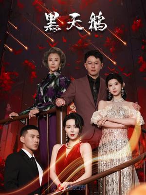 《黑天鹅(51集)孔莹莹(夸克网盘)》短剧封面
