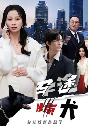 《孕途惊犬,女儿奴老爸怒了(30集)钱怡&彭梓洋(夸克网盘)》短剧封面