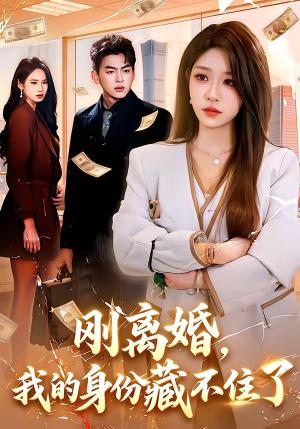 《刚离婚，我的身份藏不住了（100集）朱佳琪＆天养（夸克网盘）》短剧封面