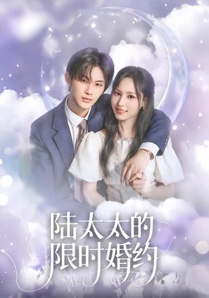《陆太太的限时婚约（60集）张亿＆蒋非琳（夸克网盘）》短剧封面