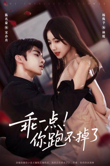 《乖一点!你跑不掉了》短剧封面