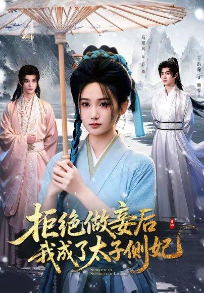 《拒绝做妾后我成了太子侧妃＆一纸离人愁（89集）李俊辰＆马珺珂（1080P）（百度网盘）》短剧封面