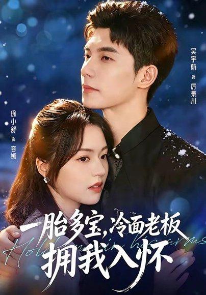 《一胎多宝,冷面老板拥我入怀(60集)吴宇航&徐小舒(百度网盘)》短剧封面
