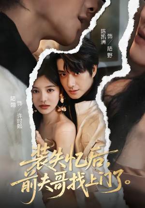 《装失忆后，前夫哥找上门了（60集）陈凯洲＆陆翊》短剧封面