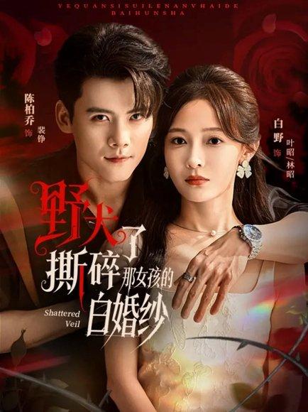 《野犬撕碎了那女孩的白婚纱（78集）陈刚＆白野（百度网盘）》短剧封面