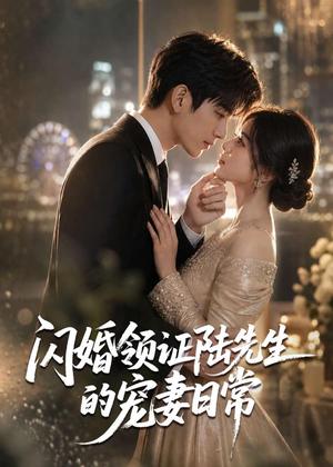 《闪婚领证陆先生的宠妻日常(72集)(夸克网盘)》短剧封面