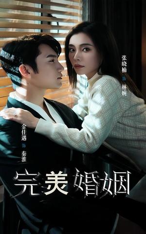 《完美婚姻(65集)金佳遇(夸克网盘)》短剧封面