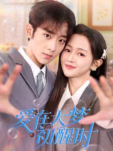 《爱在大梦初醒时(100集)(夸克网盘)》短剧封面