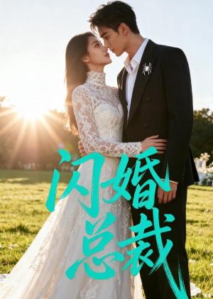 《闪婚总裁(29集)(夸克网盘)》短剧封面