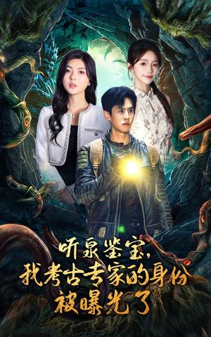 《听泉鉴宝，我考古专家的身份被曝光了（62集）（夸克网盘）》短剧封面