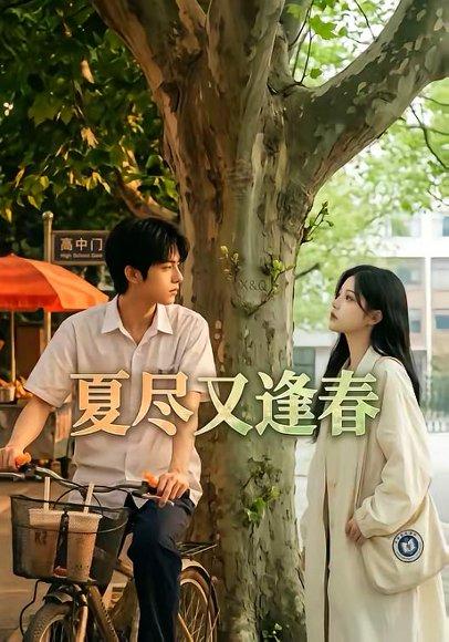 《夏尽又逢春(26集)(百度网盘)》短剧封面