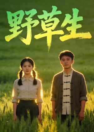 《野草生（61集）Ai短剧（夸克网盘）》短剧封面