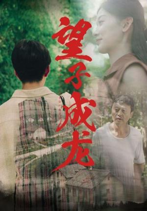《豪门的后裔（65集）田园（夸克网盘）》短剧封面