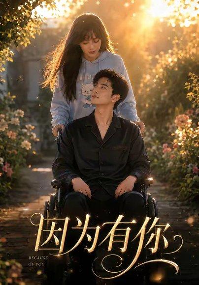 《因为有你(69集)(百度网盘)》短剧封面