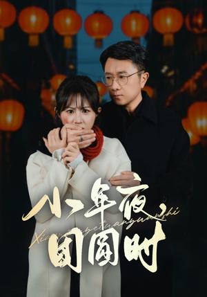 《小年夜团圆时&小年夜万家灯火没有我(35集)(夸克网盘)》短剧封面