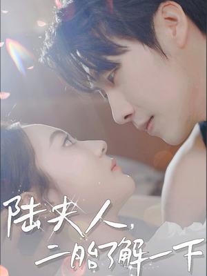 《陆夫人，二胎了解一下（83集）张韫韬＆曾和惠子&袁传琪（夸克网盘）》短剧封面