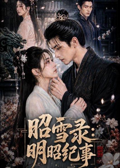 《昭雪录:明昭纪事(20集)(百度网盘)》短剧封面