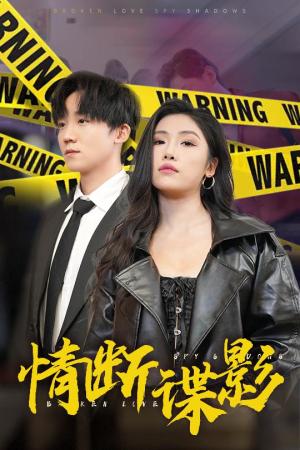 《情断谍影&我的特工老婆（30集）骆虹宇（夸克网盘）》短剧封面