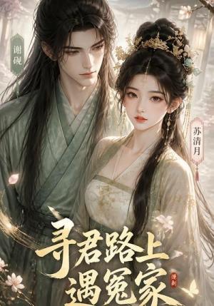 《寻君路上遇冤家(38集)(夸克网盘)》短剧封面