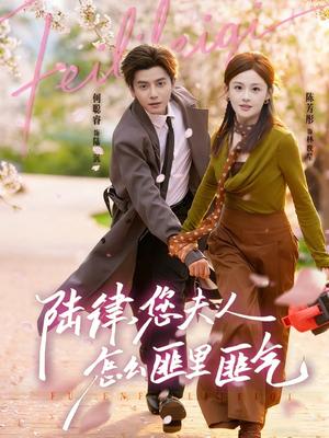 《陆律，您夫人怎么匪里匪气（60集）何聪睿＆陈芳彤（夸克网盘）》短剧封面