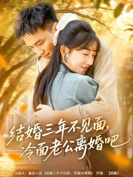 《结婚三年不见面，冷面老公离婚吧（67集）刘乂宇＆孙丛珊》短剧封面