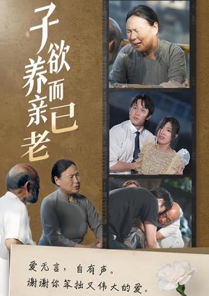 《子欲养而亲已老(58集)(夸克网盘)》短剧封面