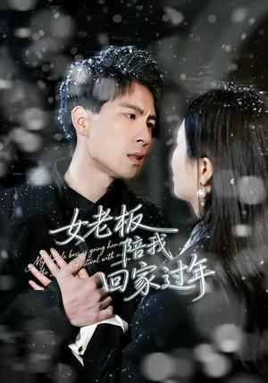 《女老板陪我回家过年(40集)罗珊珊&贺翔(夸克网盘)》短剧封面