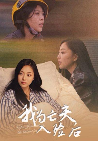 《我为亡夫入殓后（45集）韩储鸽&王行宇（百度网盘）》短剧封面