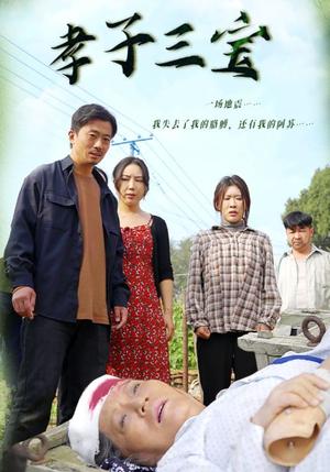 《孝子三宝(50集)(夸克网盘)》短剧封面