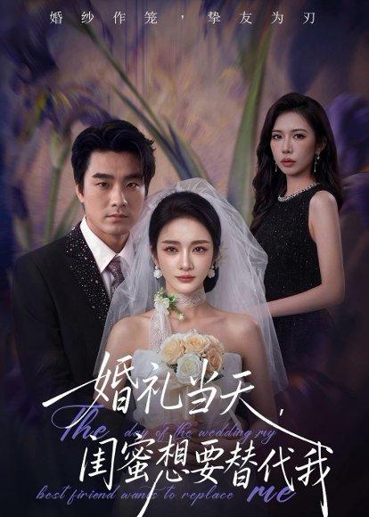 《婚礼当天,闺蜜想要替代我(66集)王小橙&穆豪(百度网盘)》短剧封面