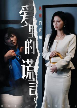 《爱里的谎言,仇恨的真相(47集)宋晨&韩琪(夸克网盘)》短剧封面