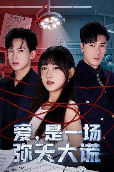 《爱是一场弥天大谎》短剧封面