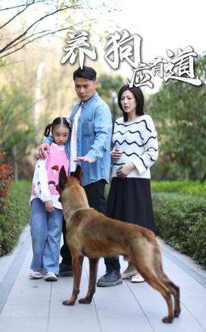 《养狗应有道(60集)(夸克网盘)》短剧封面