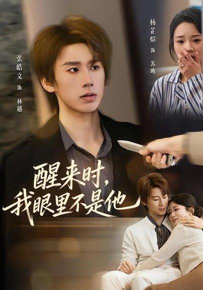 《醒来时，我眼里不是他（36集）杨芷煊＆张皓文（百度网盘）》短剧封面