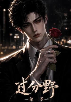 《过分野第一季（62集）（夸克网盘）》短剧封面