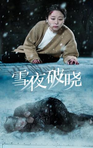 《雪夜破晓(36集)(夸克网盘)》短剧封面