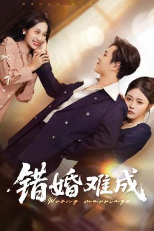 《错婚难成（45集）彭程&武鸿蕊（夸克网盘）》短剧封面
