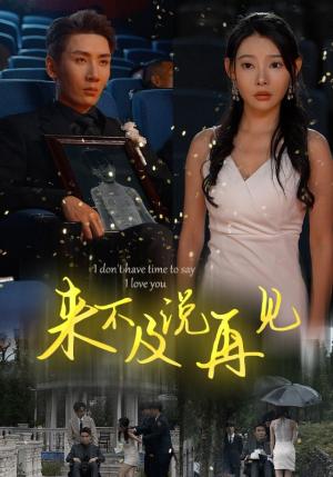 《母爱三春晖（94集）（夸克网盘）》短剧封面