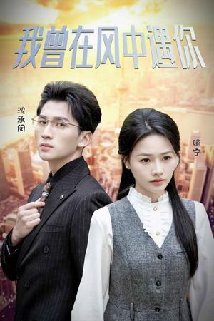 《我曾在风中遇你（30集）李木杨＆曹千祎（夸克网盘）》短剧封面