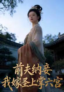《前夫纳妾，我嫁圣上掌六宫（53集）AI短剧（夸克网盘）》短剧封面