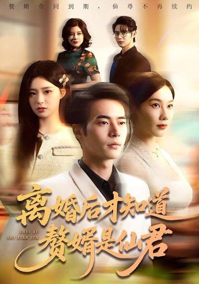 《离婚后才知道赘婿是仙君（66集）赵焕东＆李槿（百度网盘）》短剧封面