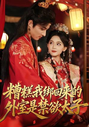 《糟糕我绑回来的外室是禁欲太子（90集）邱嘉棋&薛景元（夸克网盘）》短剧封面