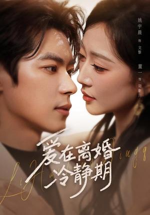 《爱在离婚冷静期(73集)董一&姚宇晨(夸克网盘)》短剧封面