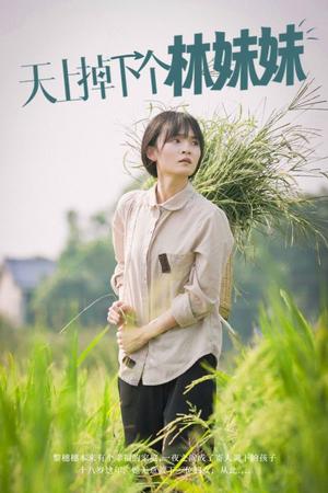 《天上掉下个林妹妹（81集）（夸克网盘）》短剧封面