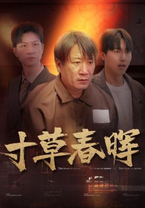 《寸草春晖（31集）（夸克网盘）》短剧封面