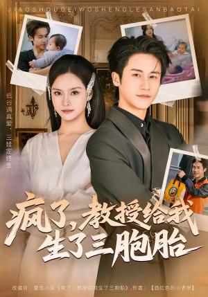 《疯了,教授给我生了三胞胎(79集)孙航&李苗苗(夸克网盘)》短剧封面
