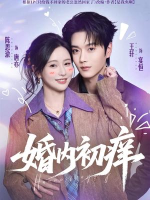 《婚内初痒（100集）王轩＆陈思澈（夸克网盘）》短剧封面